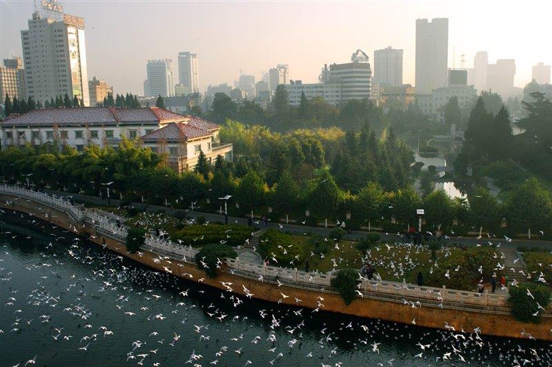 母親河盤龍江 http://rjxysw.com/