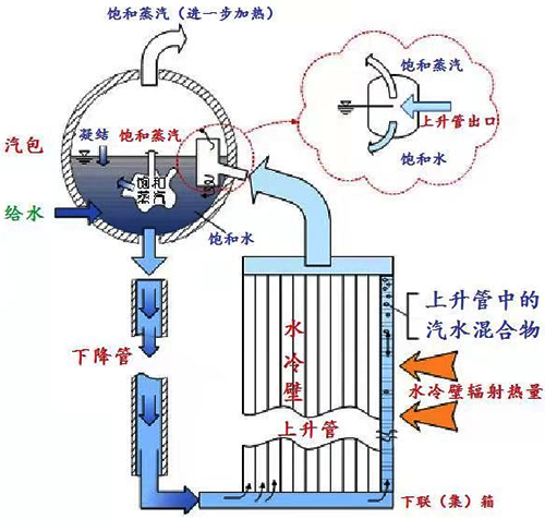 鍋爐水系統結構示意圖